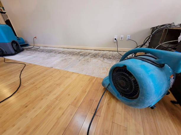 Professional Water Removal technician working in Bon Secour, AL